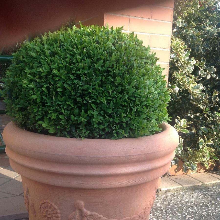 Casale El Galet Apartment Moniga del Garda